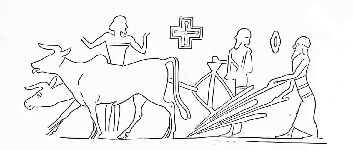 reconstruction of tablet seal cows