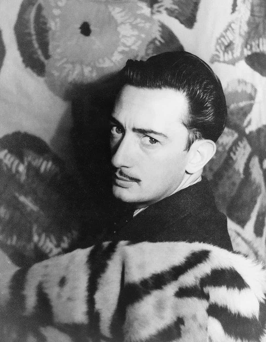 salvador dali photo