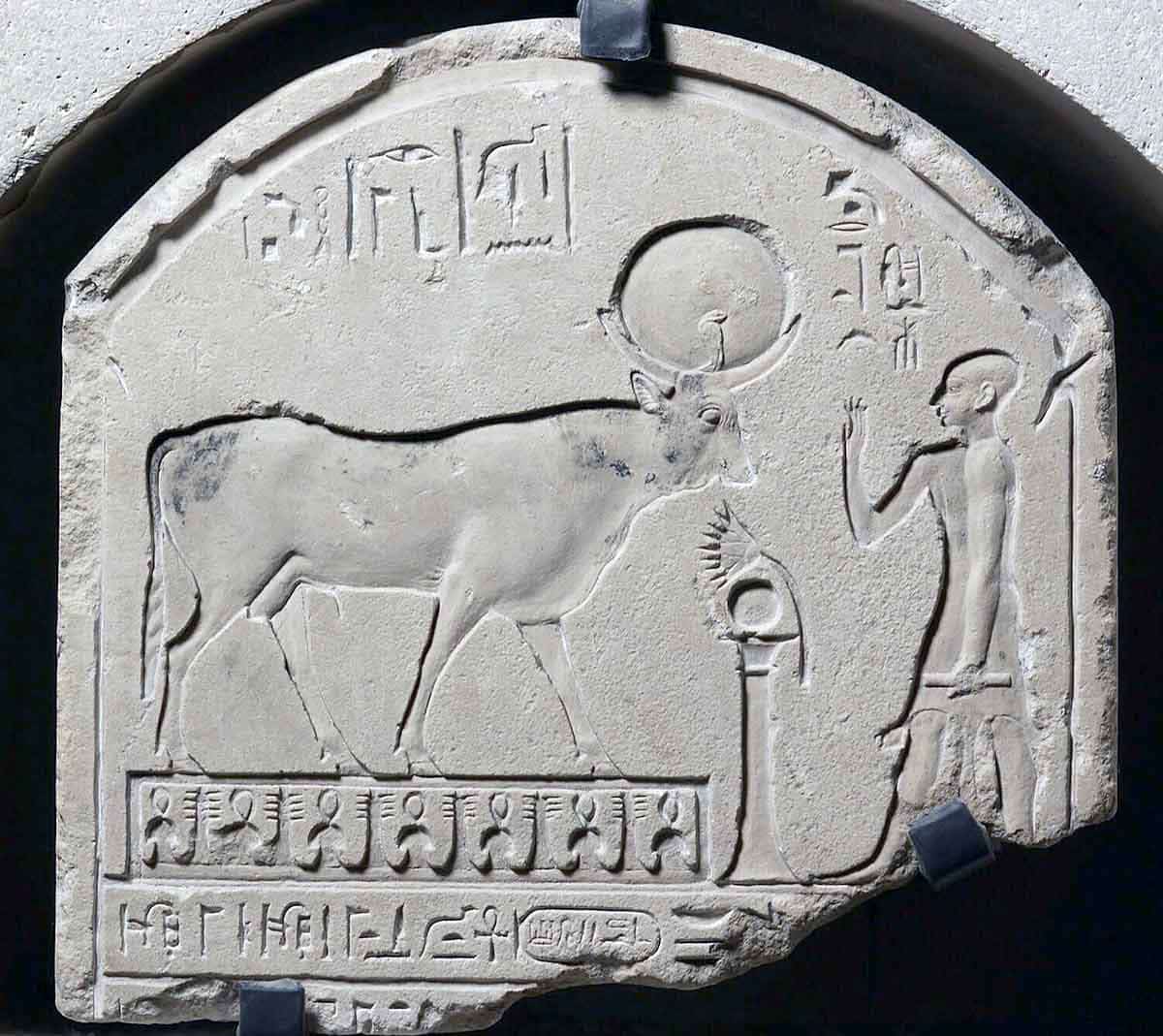 darius serapeum stela ancient egypt