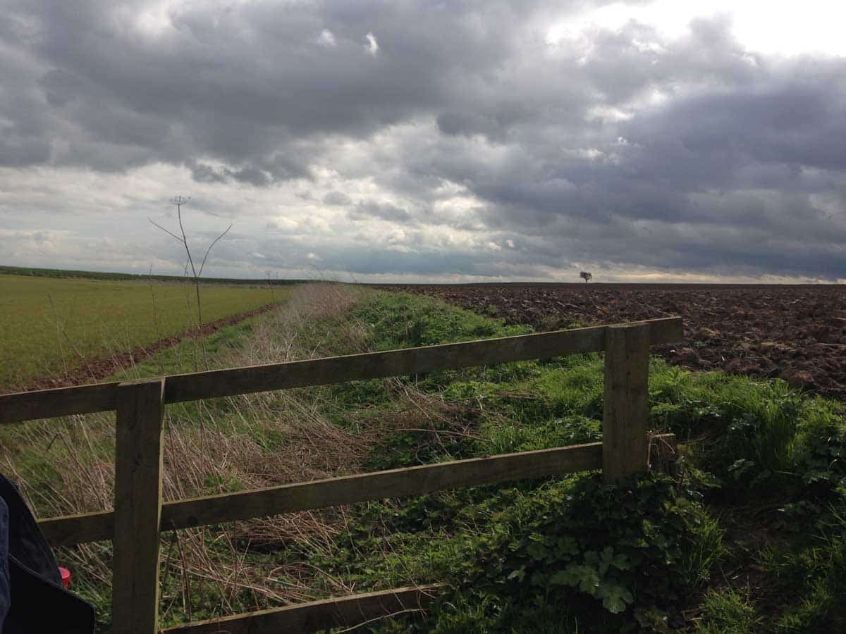 towton depression photo