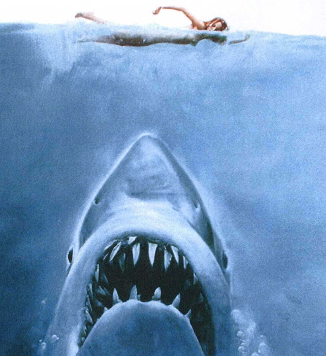 Jaws, a novel by Rodger Kastel adapted for the big screen by Stephen Spielberg and John Williams, Source: Wikimedia Commons