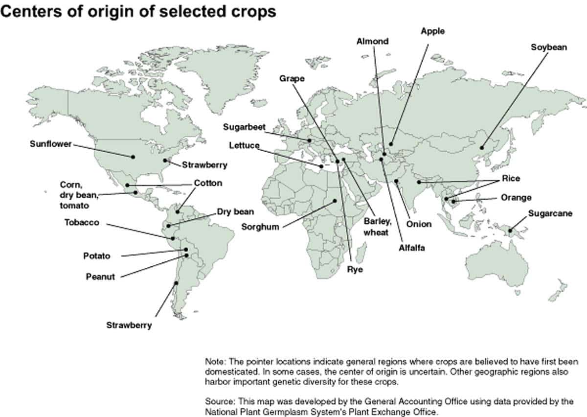 crops origin