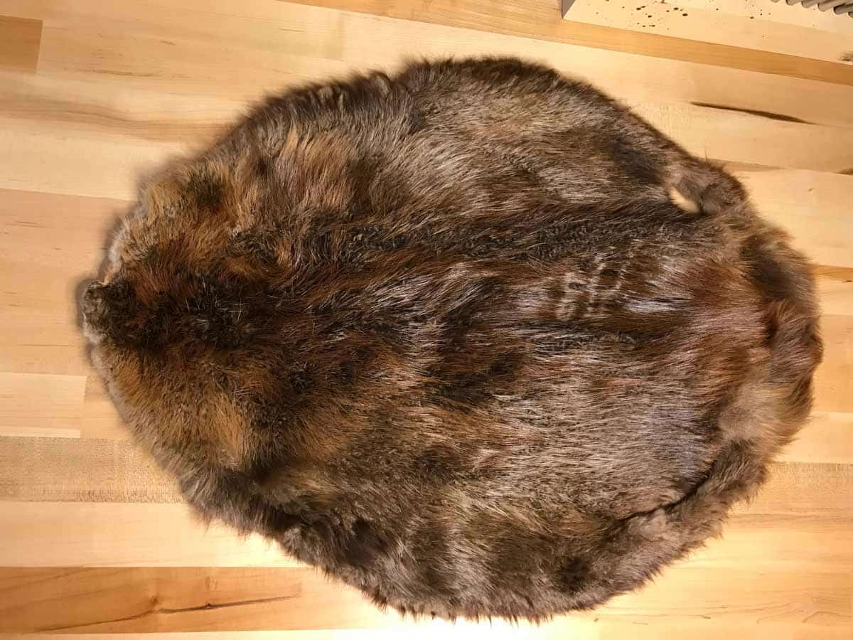 great beaver wars beaver pelt