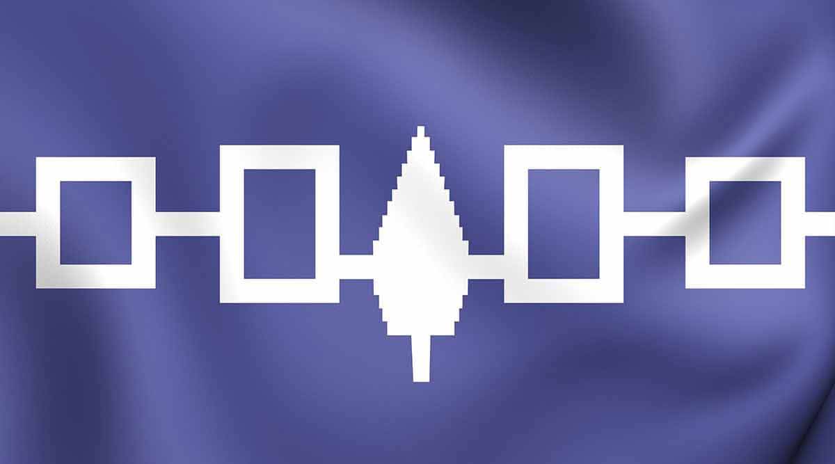 iroquois confederacy haudenosaunee flag