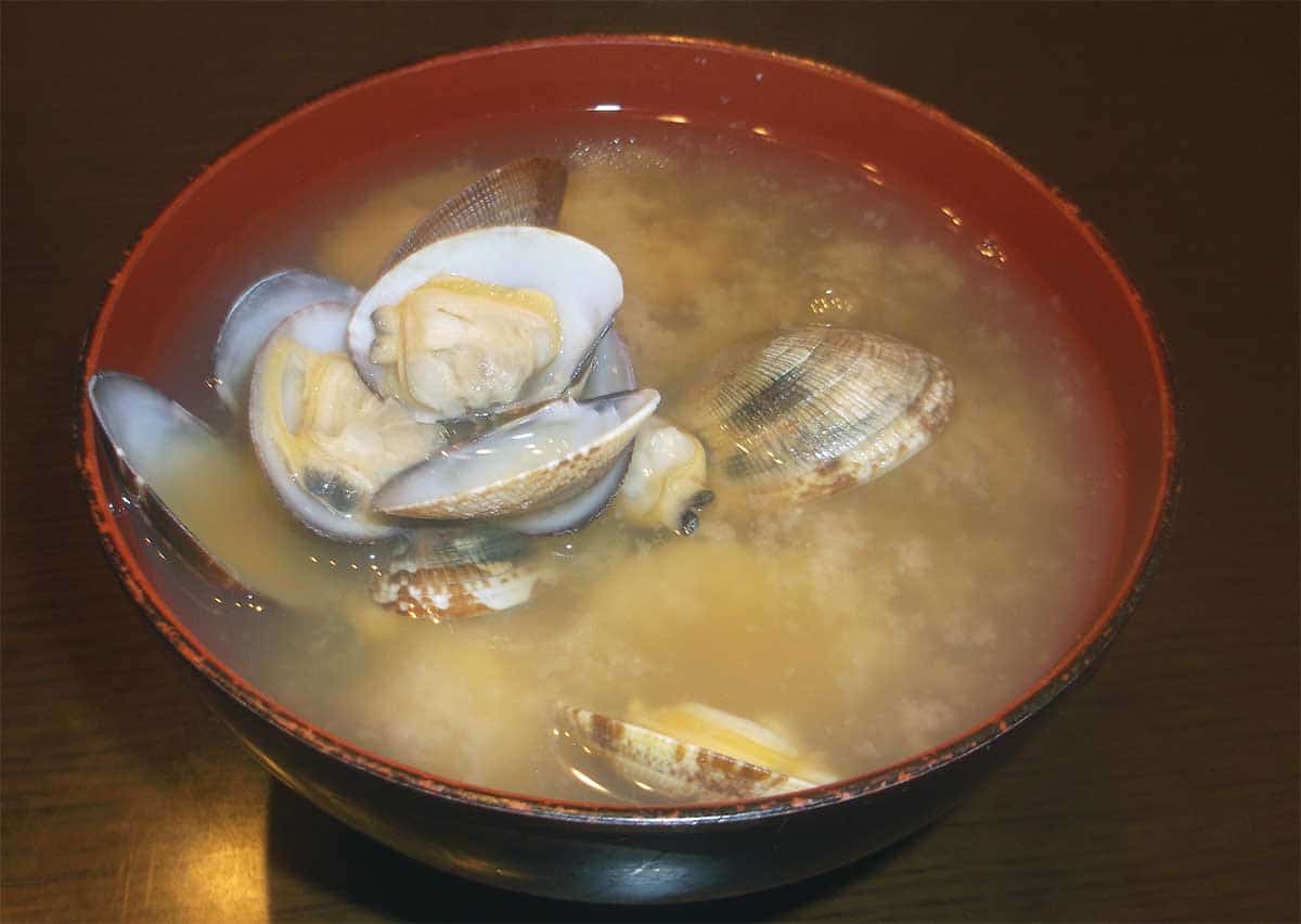 miso soup japanese clam