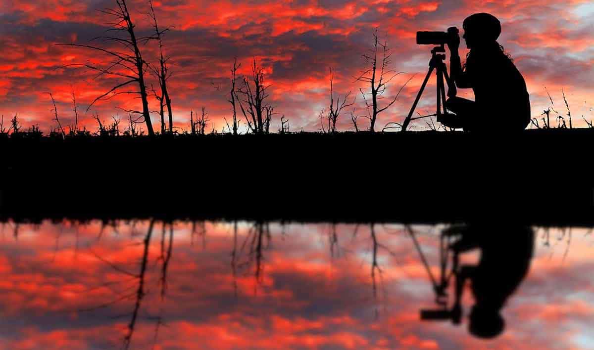 The Photographer by Roschenberger. Source: Pixabay