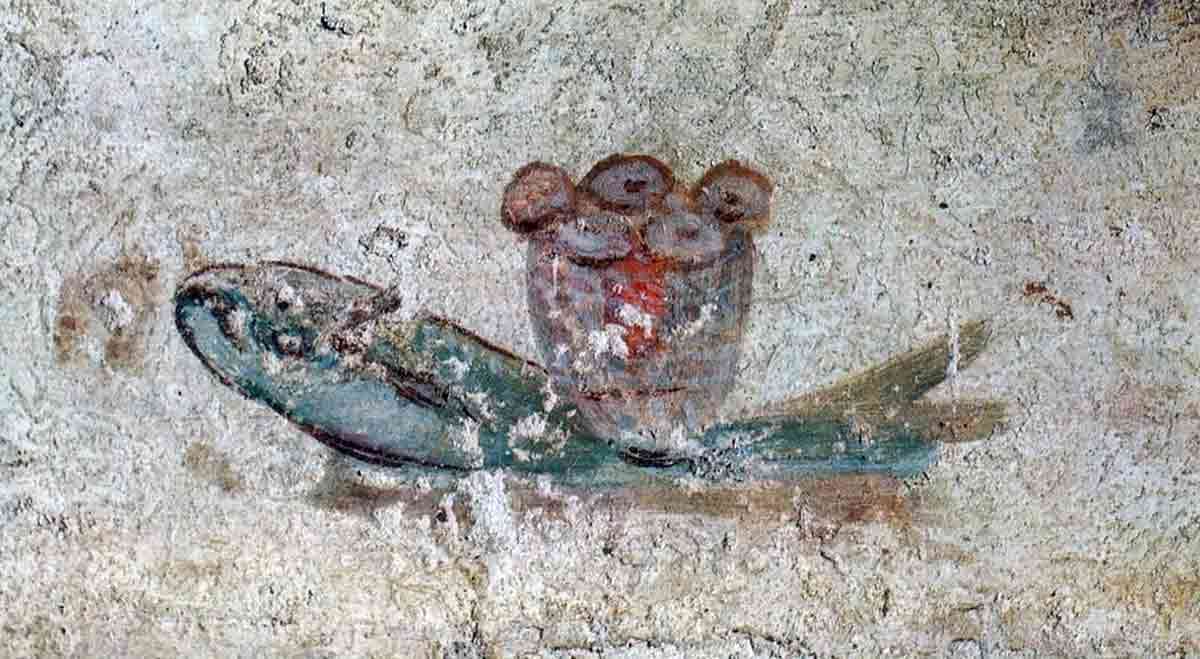 fish fresco callixtus