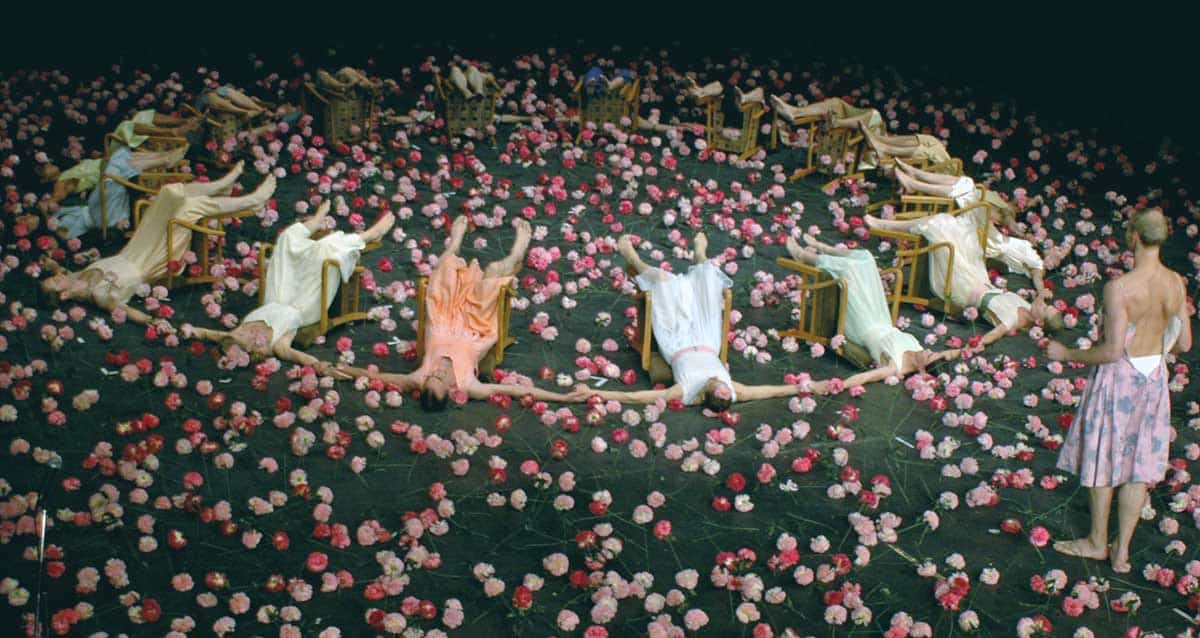 nelken pina bausch