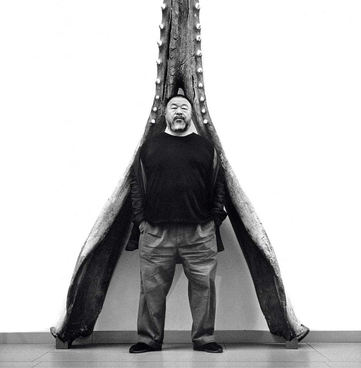 ai-weiwei-photo