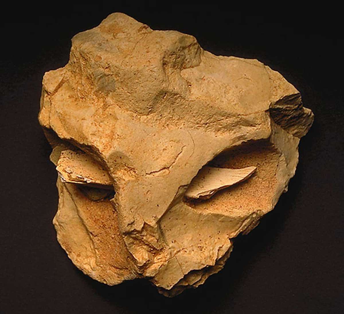 la roche mask