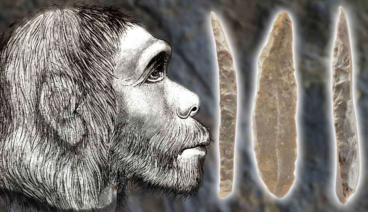 neanderthal myths debunking