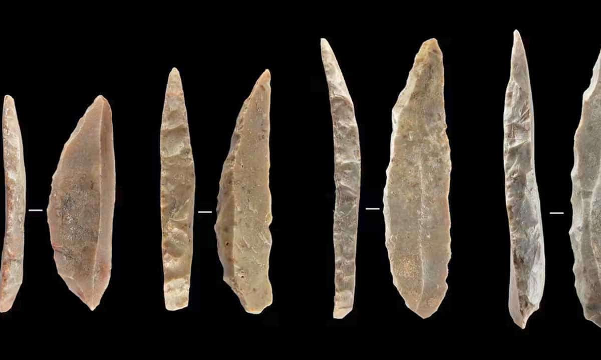 neanderthal tools