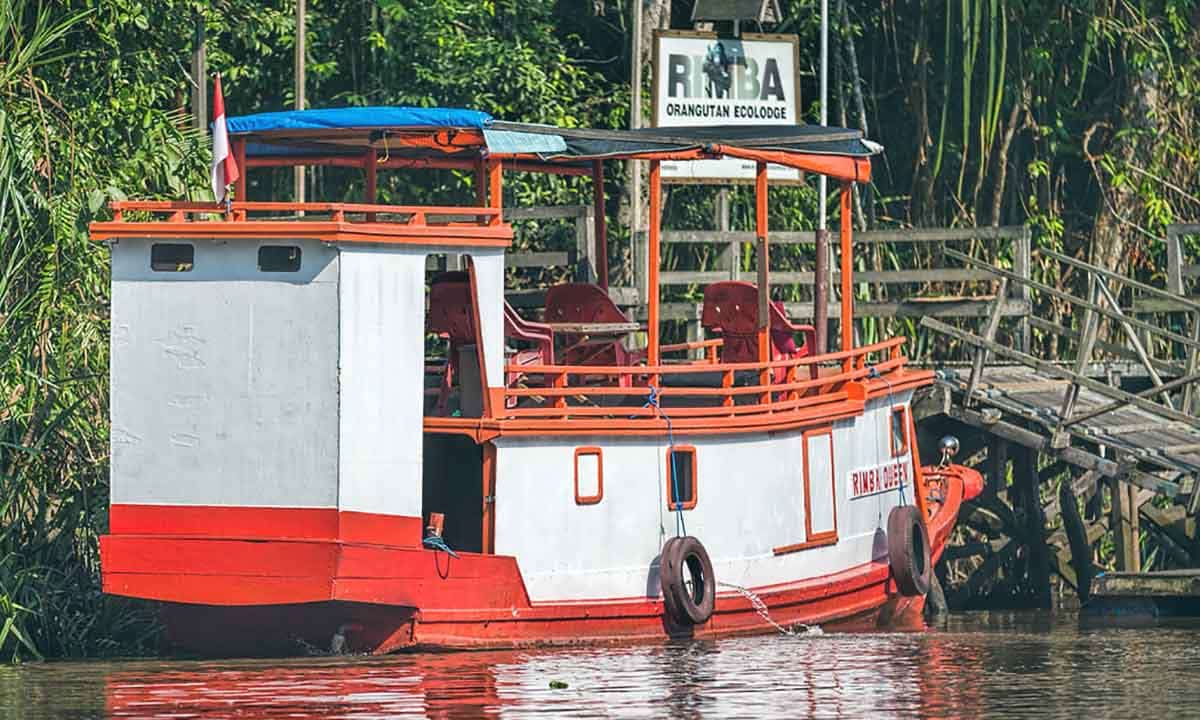 indonesia klotok boat