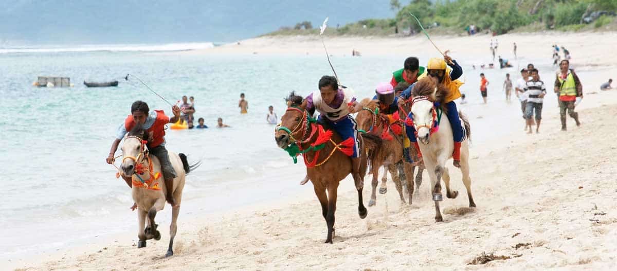 horse race on sumbawa