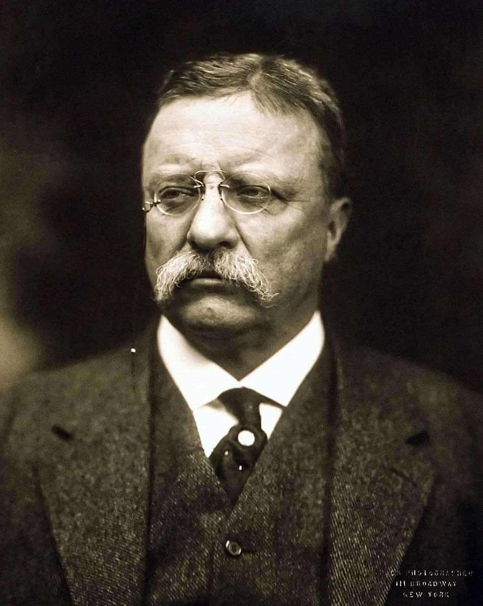 republican president theodore roosevelt