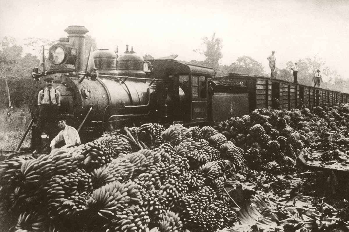 united fruit train