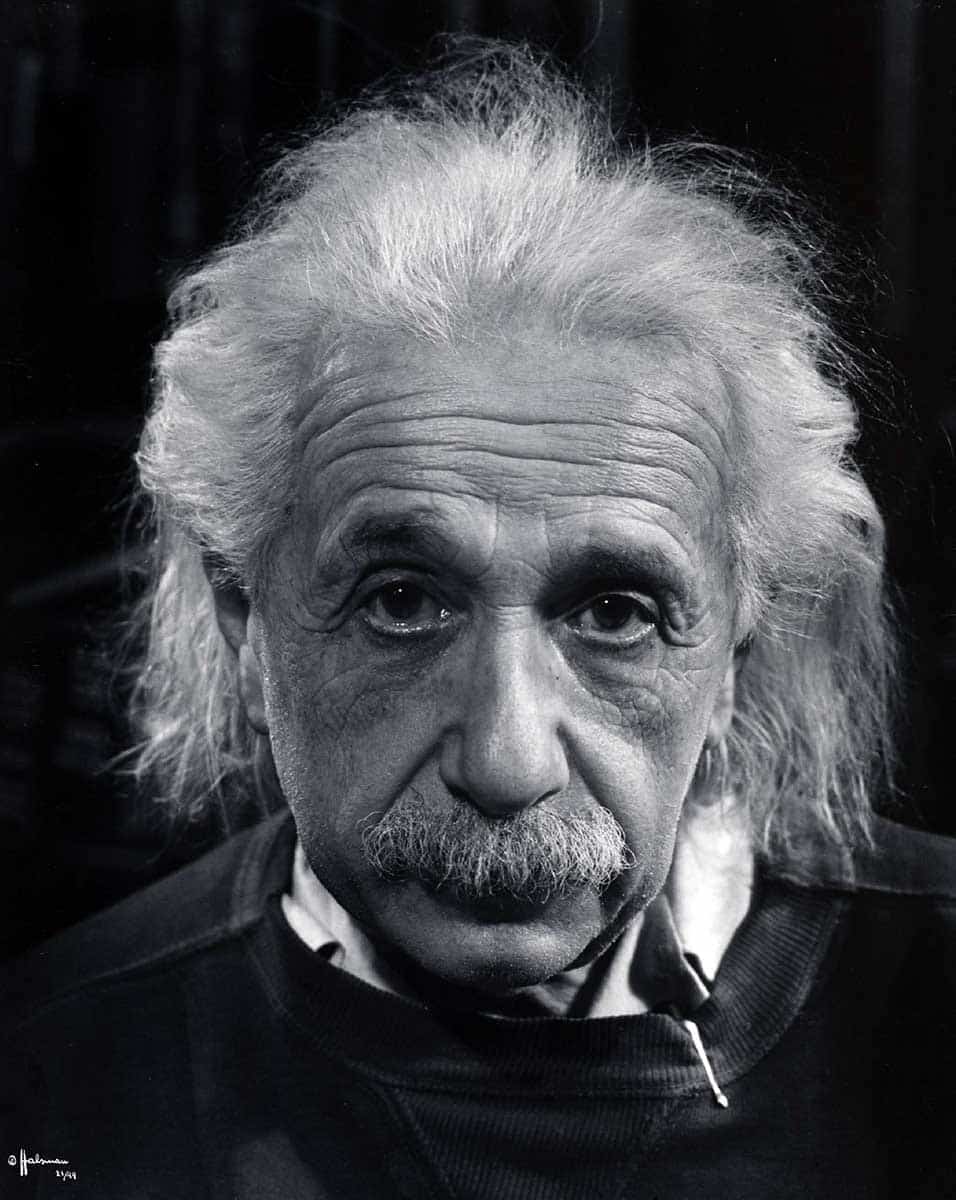 albert einstein philippe halsman