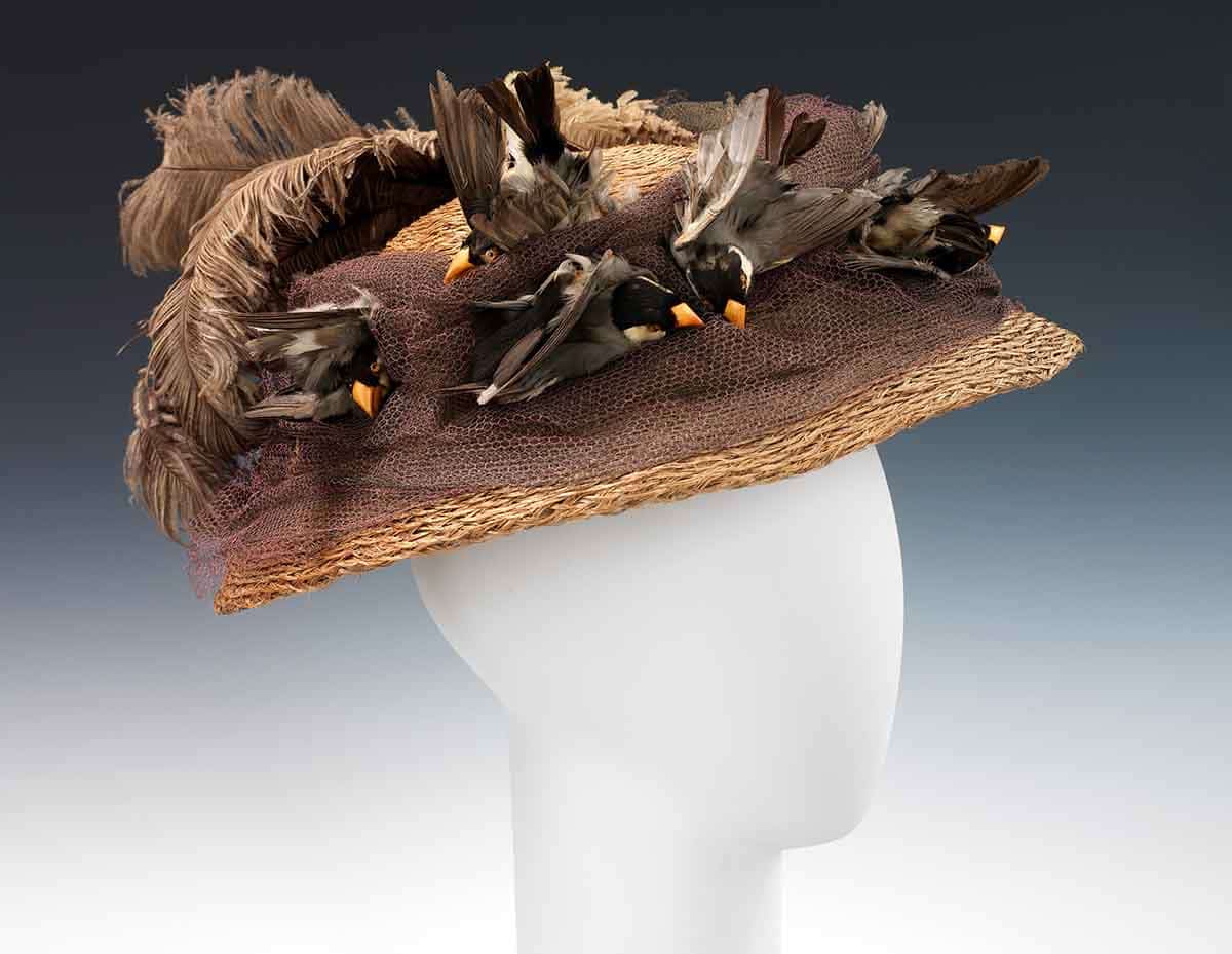 birds straw hat