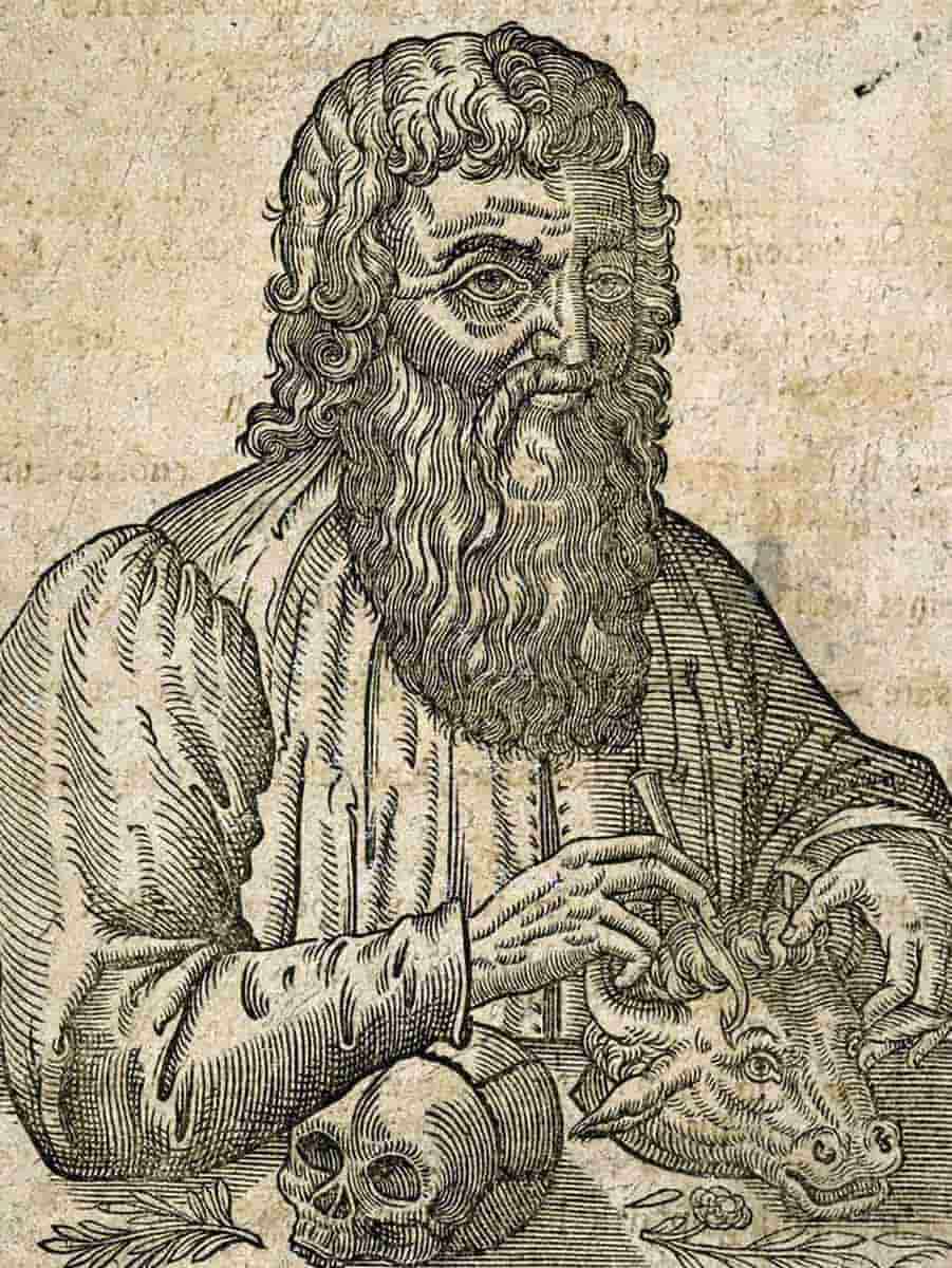 hippocrates portrait four humors