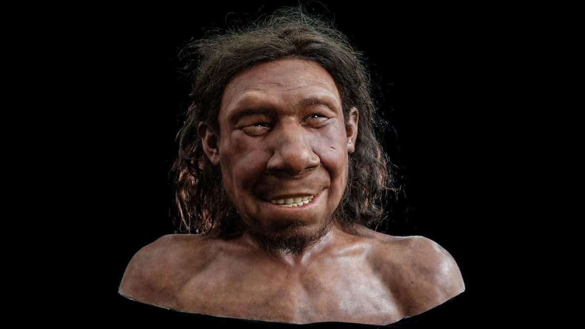 krijn neanderthal netherlands