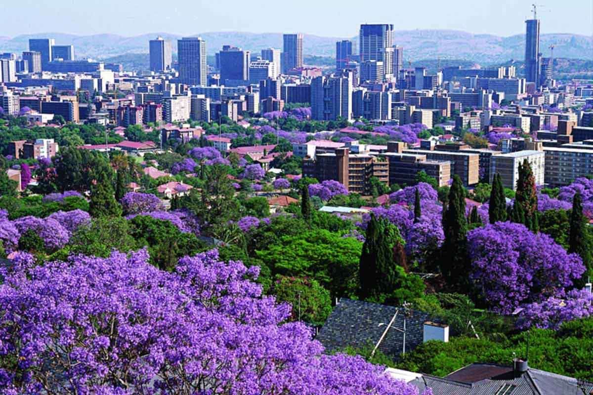 pretoria in the summer