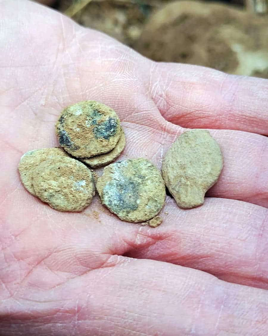 rare-ancient-coins-jordan-valley