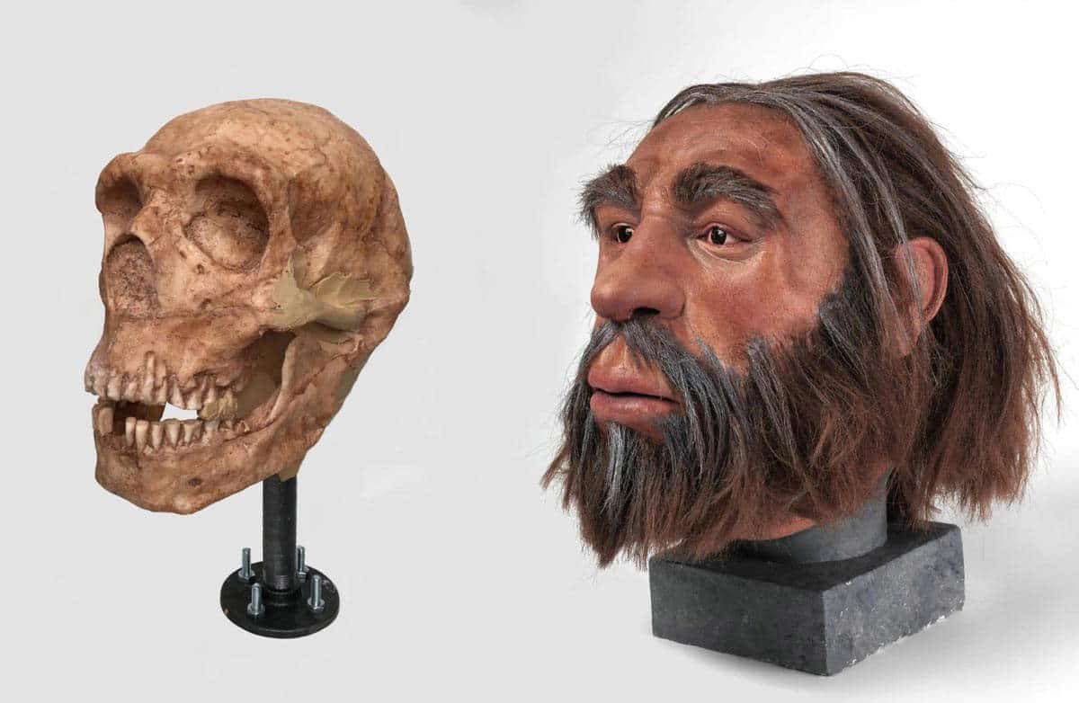 shanidar 1 facial reconstruction