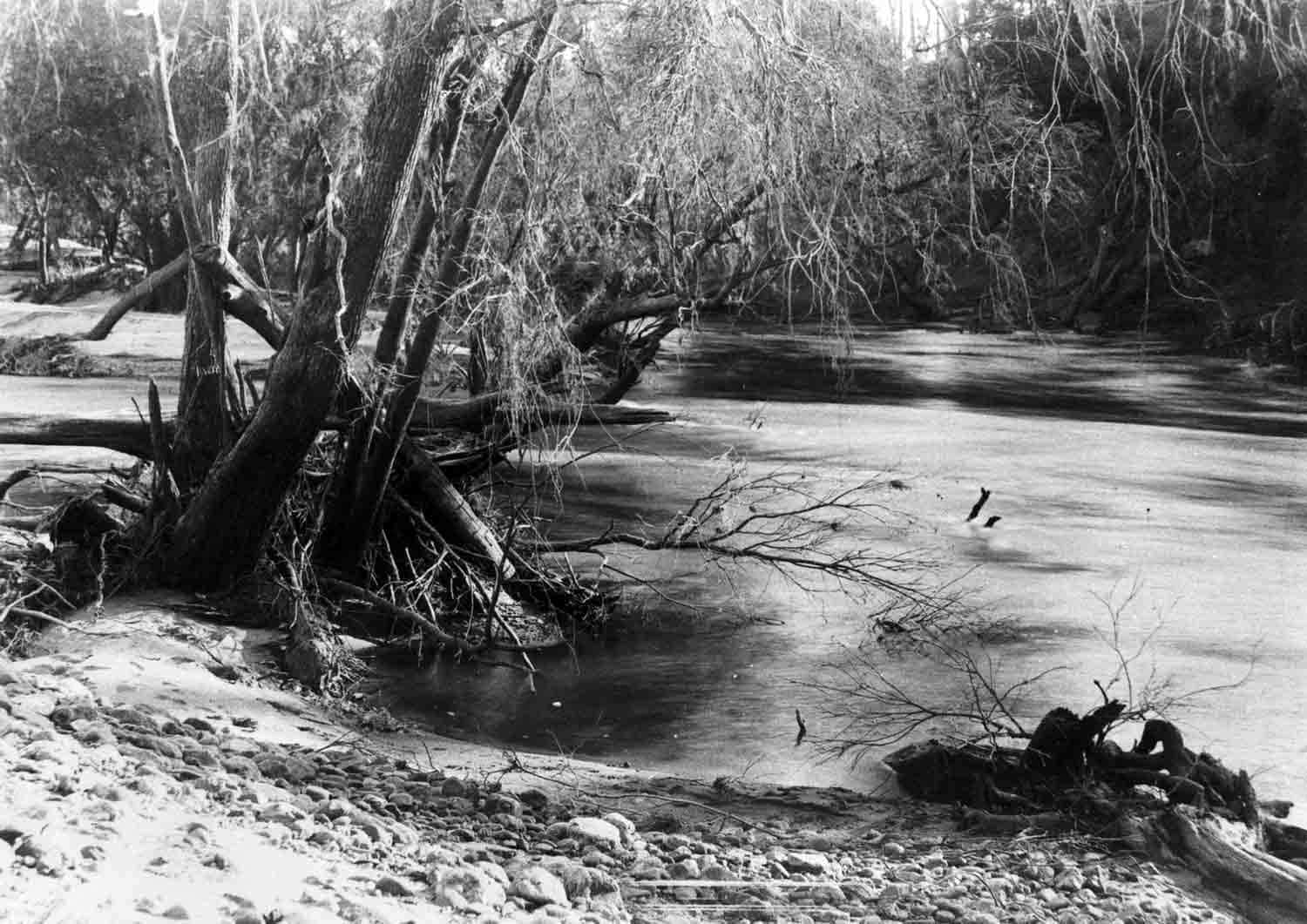 brisbane river turrbal jagera