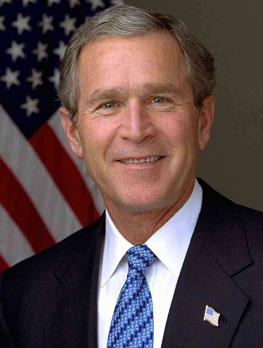 george bush portrait