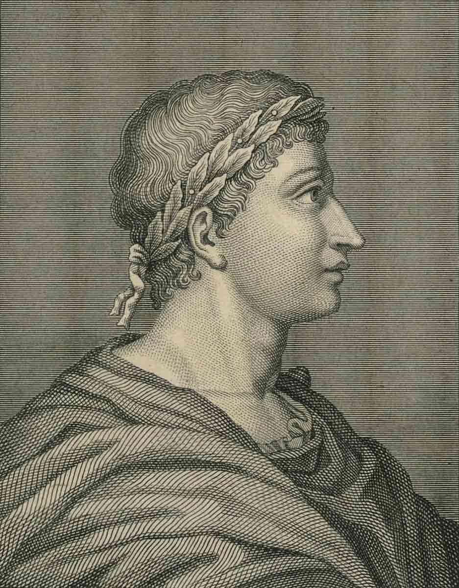 ovid drawing