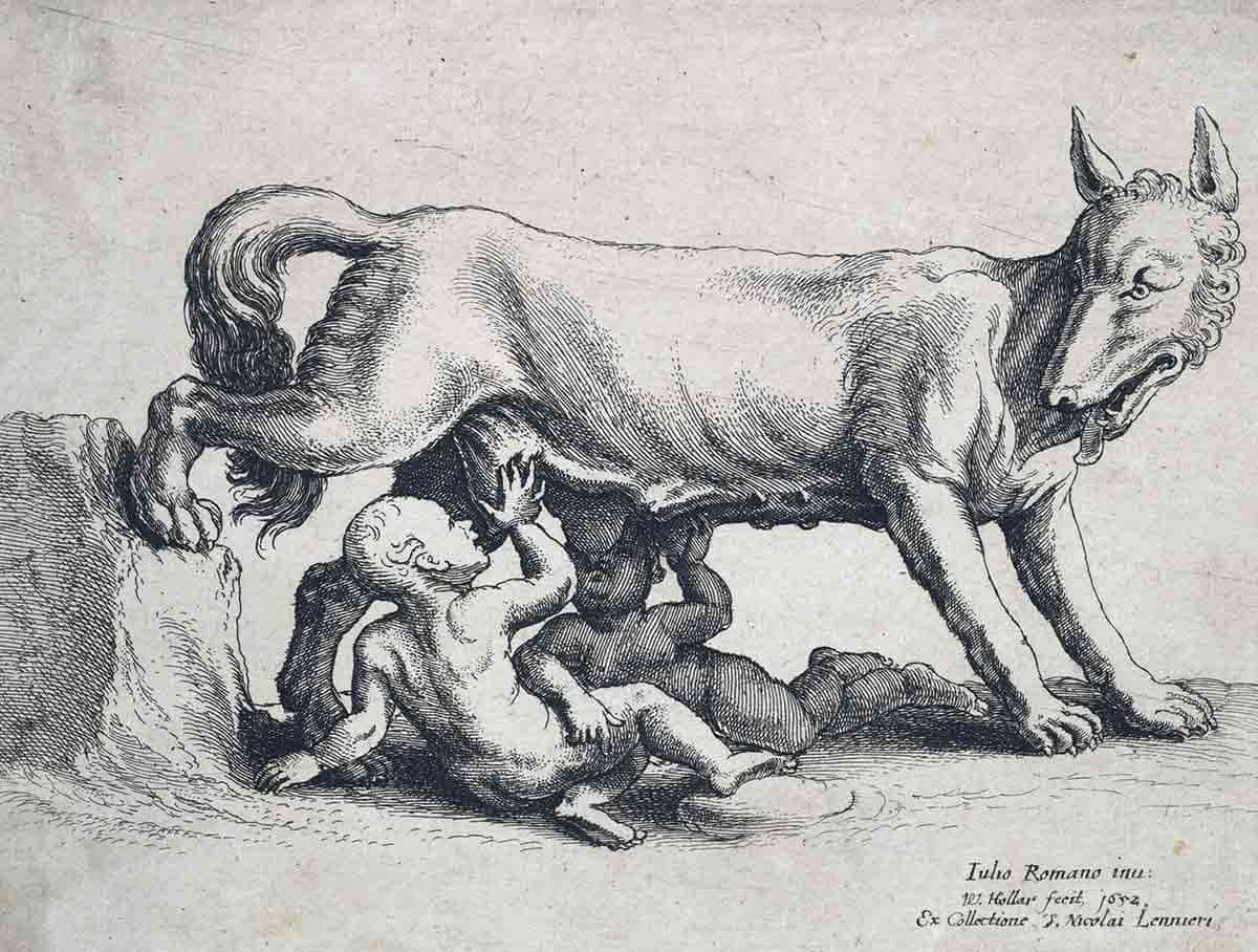 romulus and remus