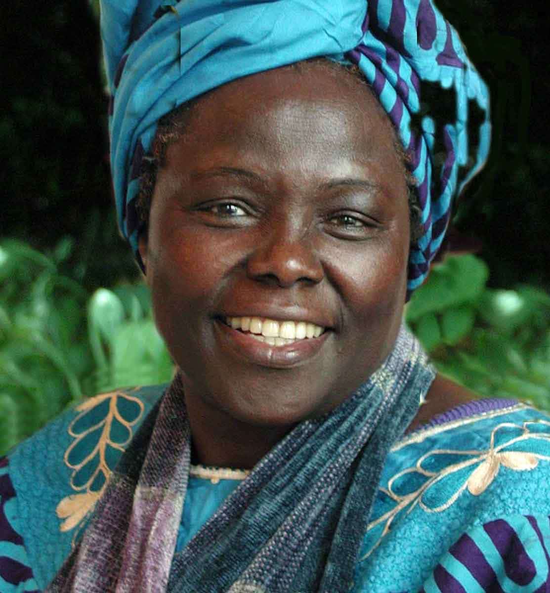 wangari maathai portrait