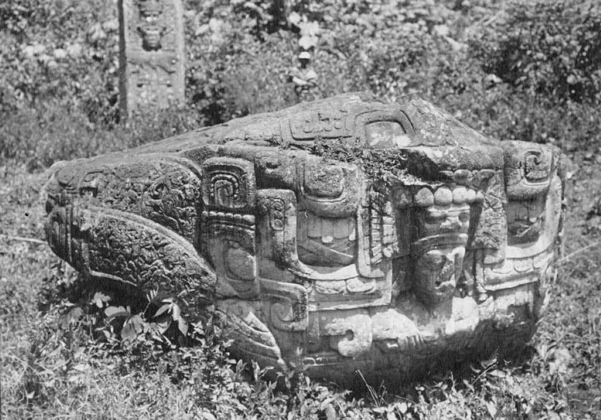 maya sculpture quirigua guatemala