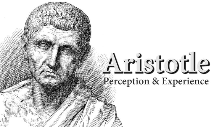 Aristotle on Perception and Experience