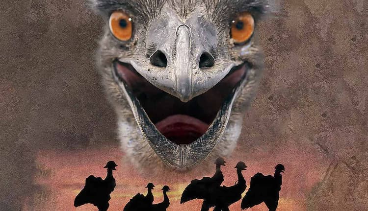 The Great Emu War: When Australians Lost to Flightless Birds