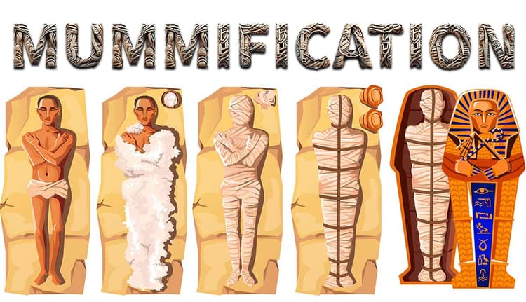 Mummification: The Ancient Egyptian Art of Embalming the Dead