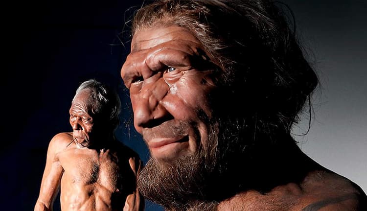 Did Humans and Neanderthals Interbreed?