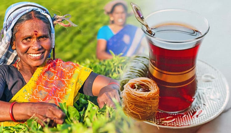 17 Titillating Facts about the History of Tea