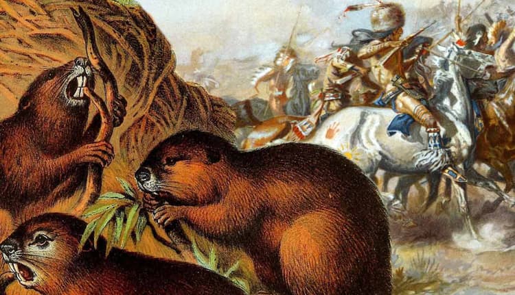 10 Surprising Facts About the Great Beaver Wars