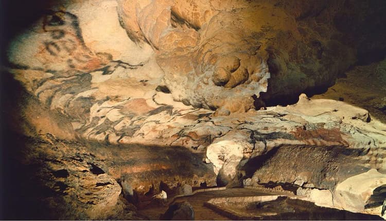 How Did A Dog Discover The Lascaux Cave Paintings?