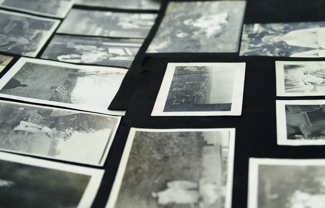 Photo Collage Library Archive